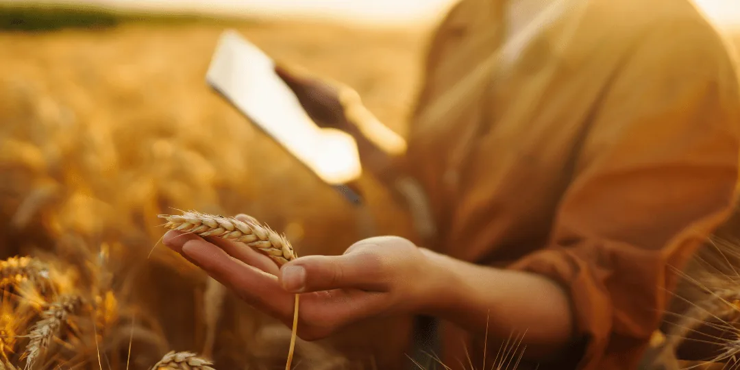 AgriTech App Development in 2026: Offline-First Architecture, ISOXML Integration, and the FSMA 204 Compliance Deadline
