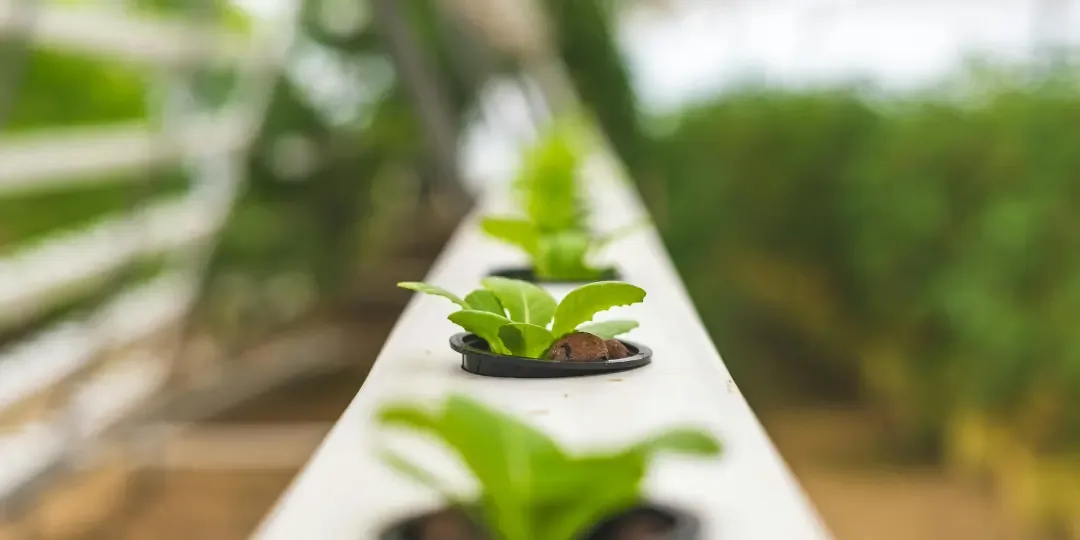 Agritech Software Engineering in 2026: Precision Agriculture, AI Crop Intelligence, and What the Farm Data Infrastructure Actually Requires